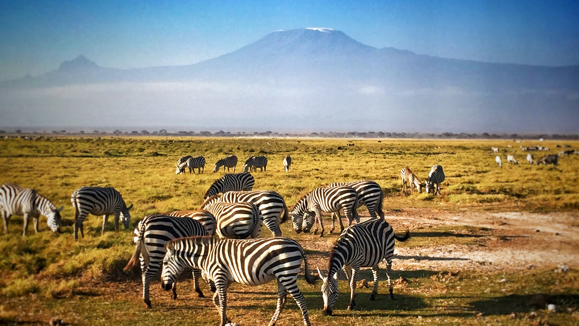 tours and safaris