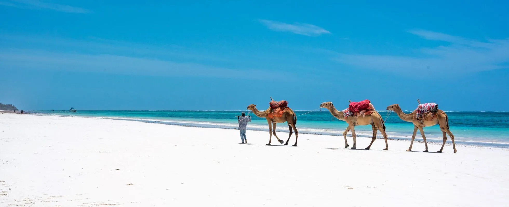 Tours and Safaris in Kenya
