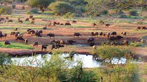 3 Days Tsavo East and West Tour