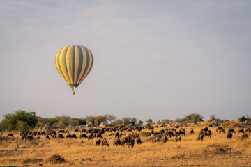 Masai Mara Balloon Safari, 3 Days Masai Mara Safari, Masai Mara Tour, 3 Days Masai Mara Balloon Safari
