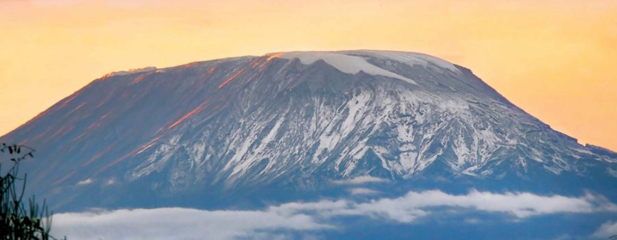 Tanzania Luxury Safari Packages