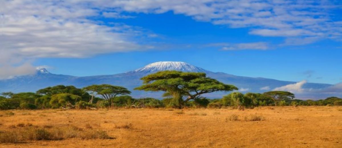 Amazing Safari Trip in Kenya, Safari Experiences in Kenya, Birdwatching Safari Kenya, Mombasa Safari Kenya