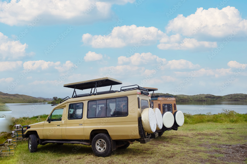 Amazing Safari Trip in Kenya, Safari Experiences in Kenya, Birdwatching Safari Kenya, Mombasa Safari Kenya