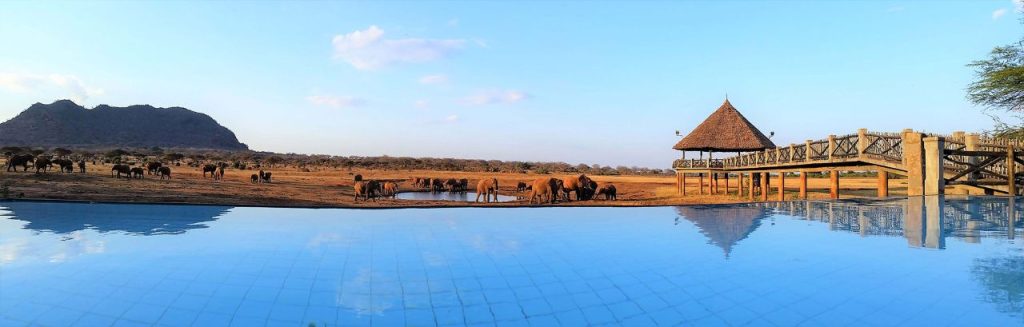 voi safari lodge tsavo