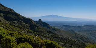 6 Days Maasai Mara, Lake Nakuru and Amboseli