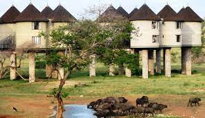 Safari Lodge Tsavo East