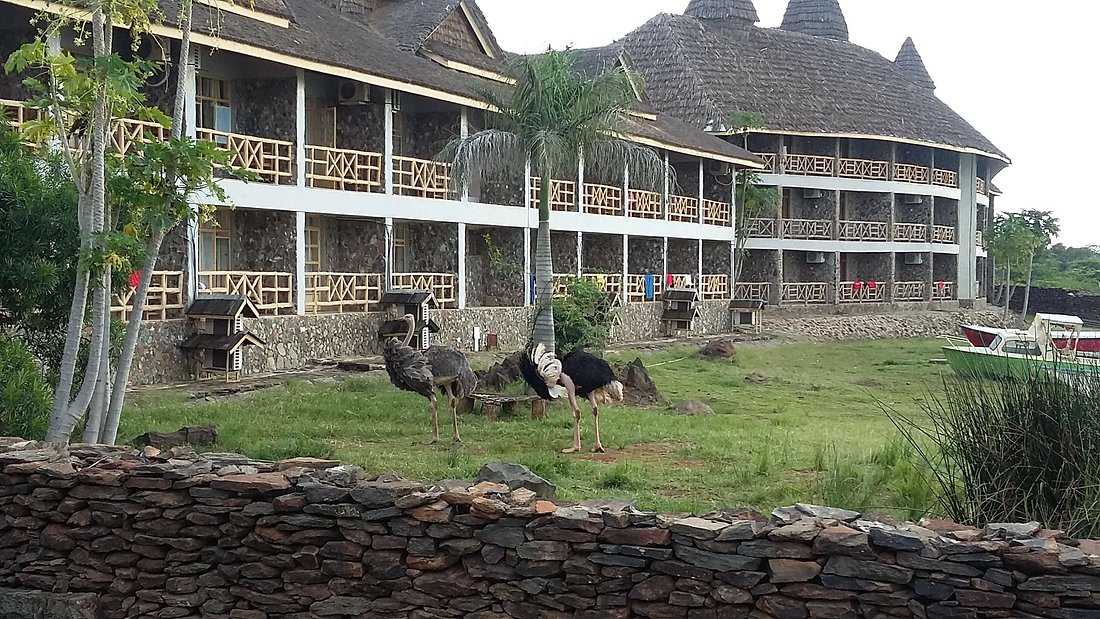 Masai Mara and Amboseli Safari