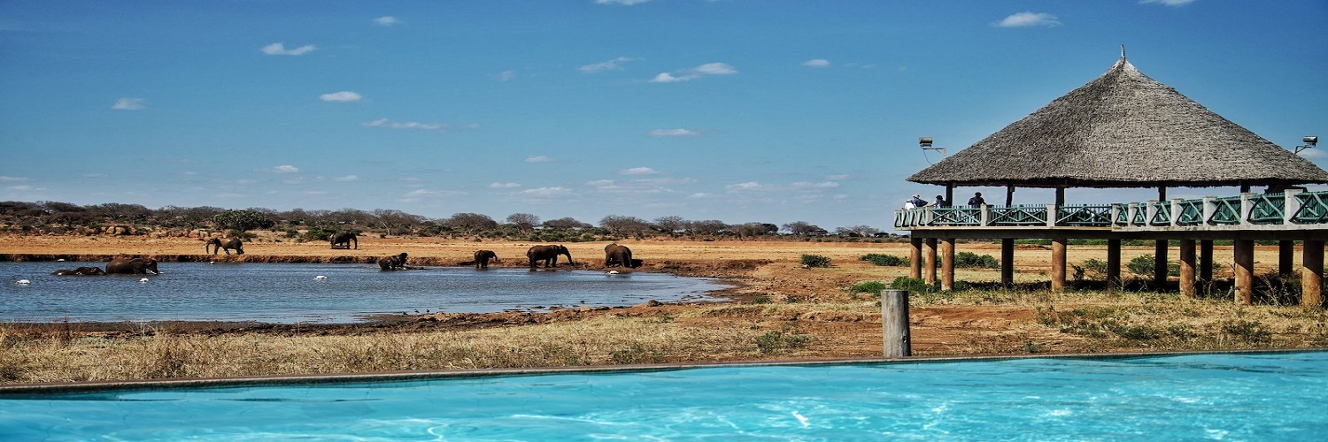 1 day tsavo east safari