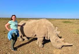 Ol Pejeta Park Fees