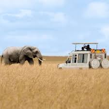 Last-Minute Kenya Safari Deals