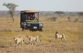 Last-Minute Kenya Safari Deals