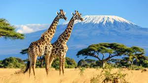 7-Day Amboseli Safari Package