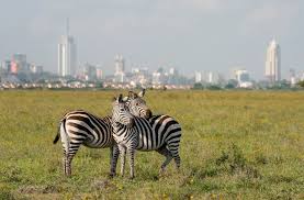 Kenya Safari & Beach Tour from Nairobi