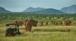 Samburu National Park Safari Package