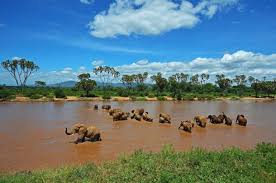 Samburu National Park Safari Package