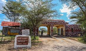 Samburu National Park Safari Package