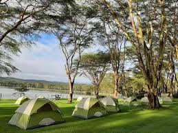 Kenya Camping Safaris