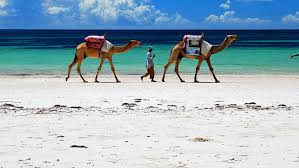 Safari Diani Beach Kenya
