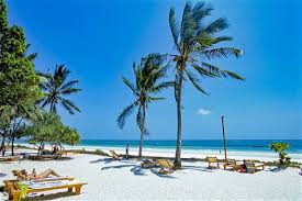 Safaris from Diani Beach