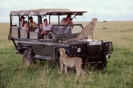 Safaris