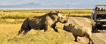 Kenya Safari Holidays