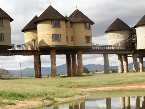 Kenya Trips Packages Kenya Trips Packages