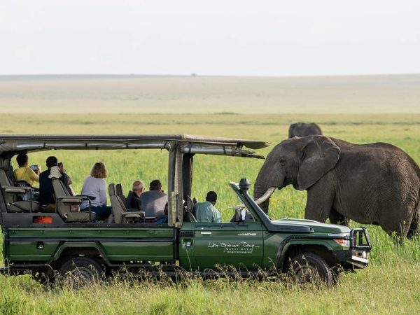 Maasai Mara Safaris Maasai Mara Safaris
