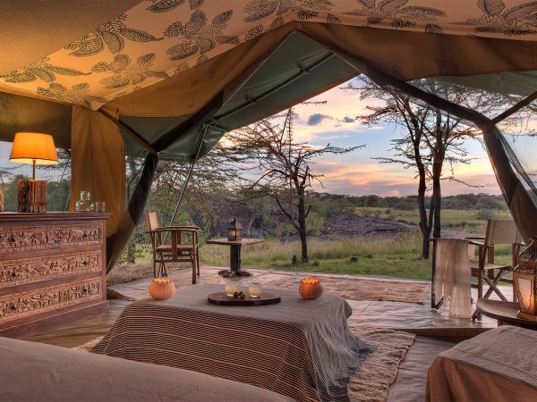 tours and safaris tours and safaris