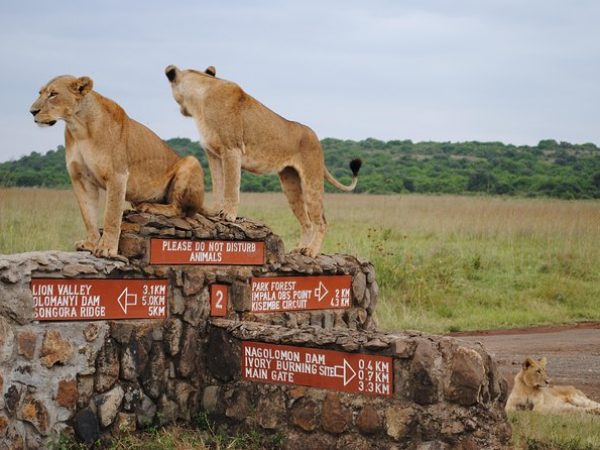 tours and safaris tours and safaris